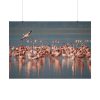 92408-291.jpg Flamingos in Africa Poster