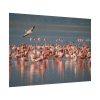 92408-292.jpg Flamingos in Africa Poster