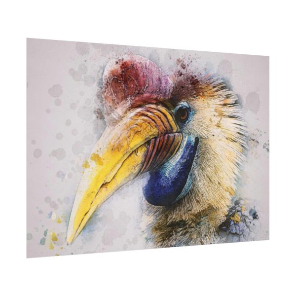 92408-297.jpg Hornbill Bird Poster