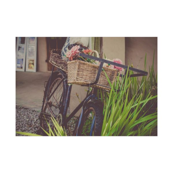 92408-355.jpg Flowers on Bicycle Poster