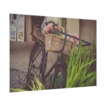 Flowers on Bicycle Poster - Image 3