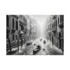 Black and White Venice Canal During Heavy Rain Poster