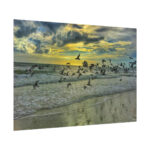 Convey of Birds are Flying Duing Sunset Poster - Image 3
