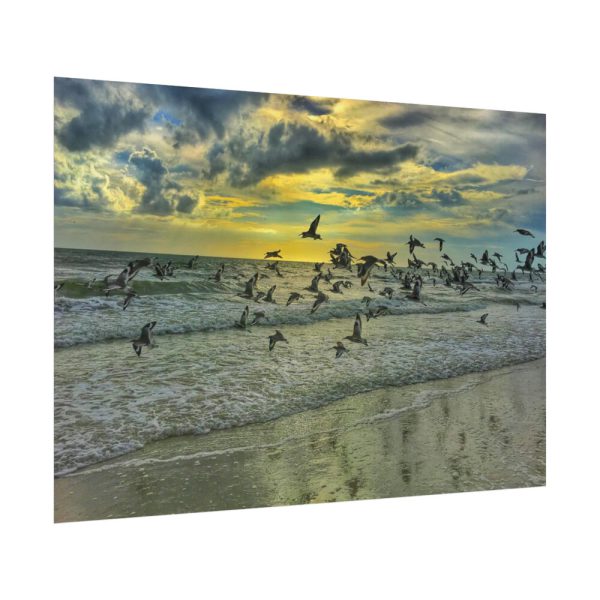 92408-82.jpg Convey of Birds are Flying Duing Sunset Poster