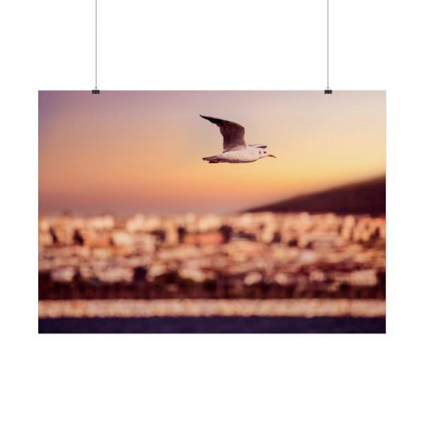 92409-121.jpg Bird Flying over Turkey Poster