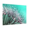 92409-137.jpg Water Droplets Dandelion Seeds Poster