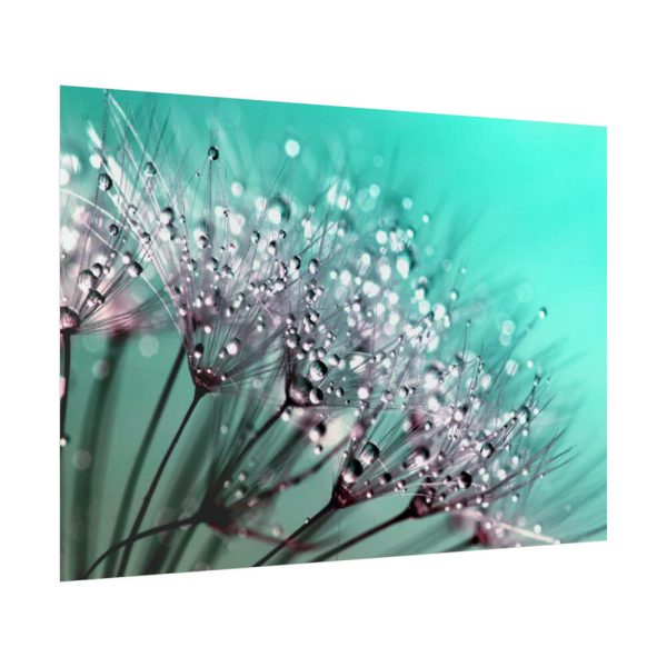 92409-137.jpg Water Droplets Dandelion Seeds Poster