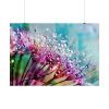 92409-141.jpg Dewdrops & Rainbows Poster