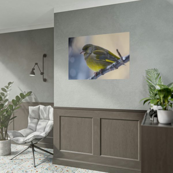 Goldfinch Bird Poster