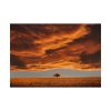 Orange Scenery With Beautiful Tree Poster