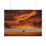 Orange Scenery With Beautiful Tree Poster - Image 7