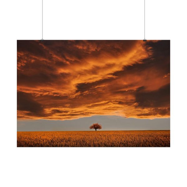 Orange Scenery With Beautiful Tree Poster