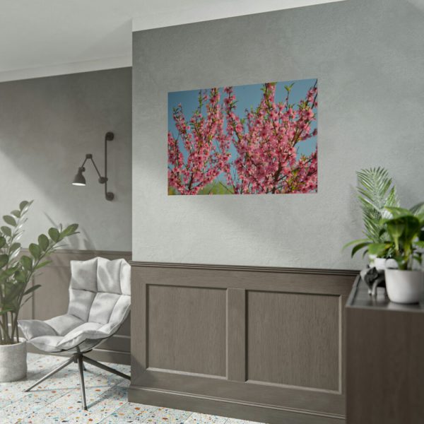 Peach Blossoms Flowering Tree Poster