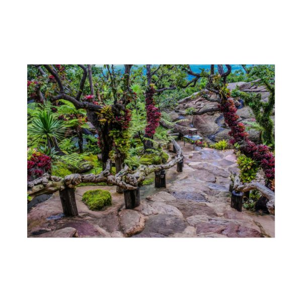 Botanical Garden Trees Poster