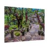 Botanical Garden Trees Poster