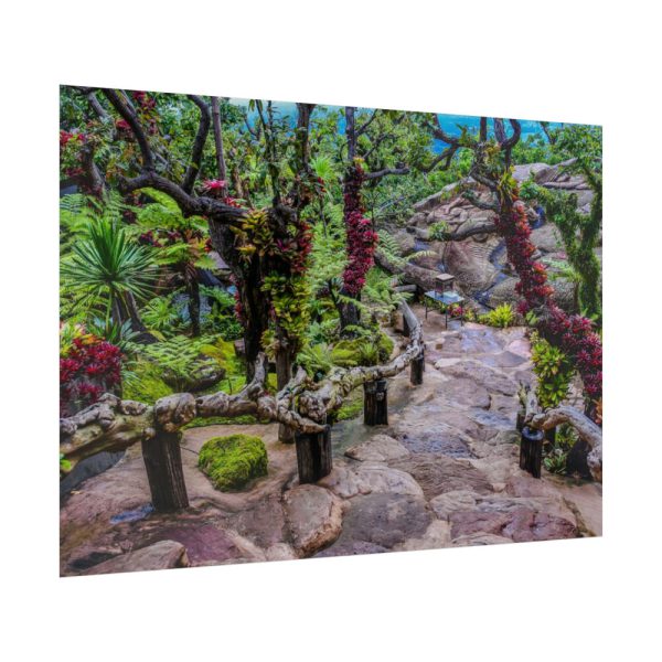 Botanical Garden Trees Poster