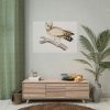 92409-208.jpg Coromandel Owl by John Edward Gray Poster