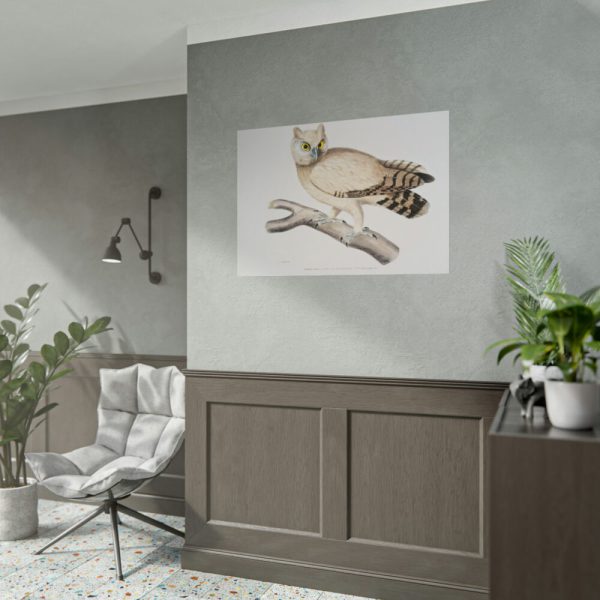 92409-209.jpg Coromandel Owl by John Edward Gray Poster