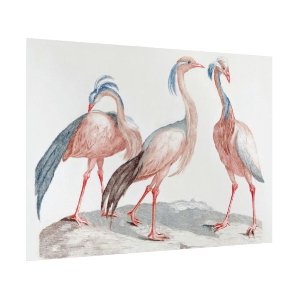 92409-212.jpg Miss Crane Birds by Johan Teyler Poster