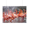 American Flamingo by Mehgan Murphy Poster