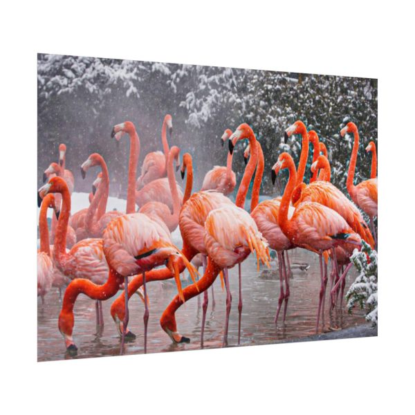 American Flamingo by Mehgan Murphy Poster