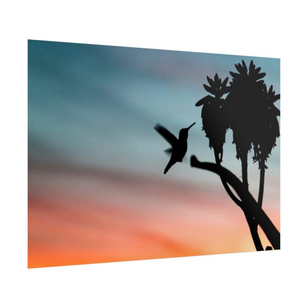 Hummingbird Poster