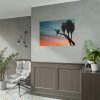 Hummingbird Poster