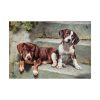 92409-225.jpg Dogs Puppies Vintage Old Poster
