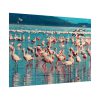 92409-287.jpg Pink Flamingo Lake Poster