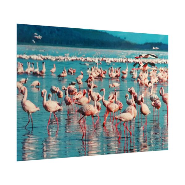92409-287.jpg Pink Flamingo Lake Poster