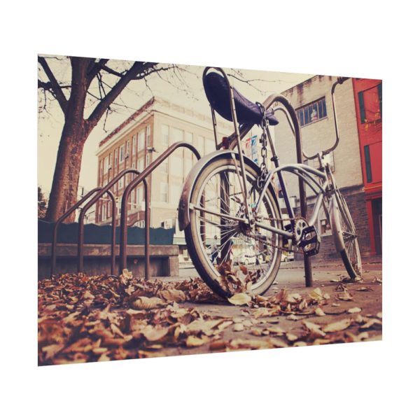 Bicycle Bike Old Vintage Poster