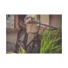 92409-360.jpg Flowers on Bicycle Poster