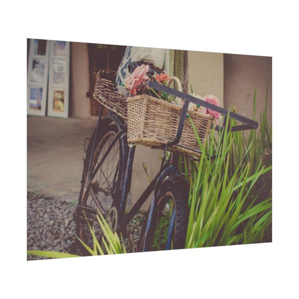 92409-362.jpg Flowers on Bicycle Poster