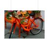 92409-366.jpg Bike Decorated With Flowers Poster