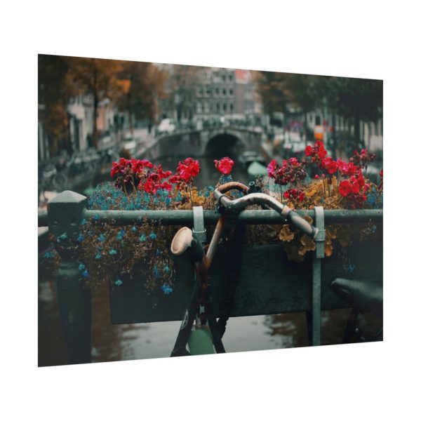 92409-372.jpg Vintage Bike Flowers Poster