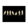 92409-421.jpg Birds Vintage Music Poster