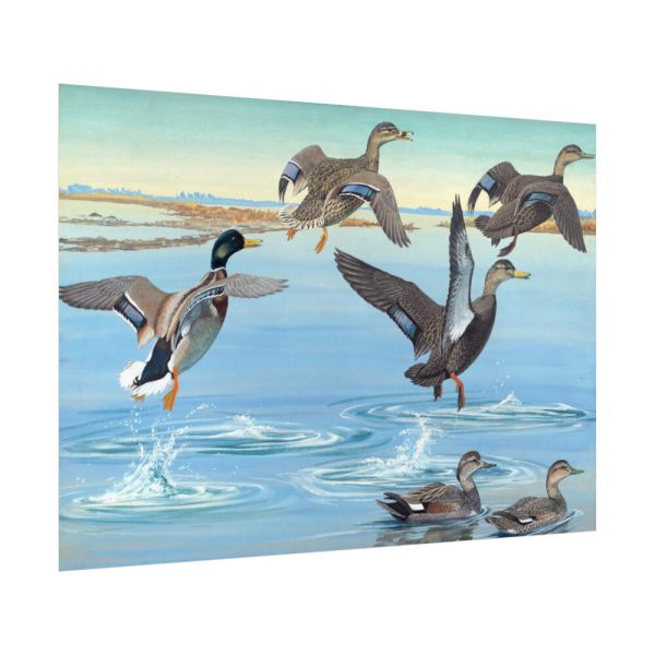 92409-562.jpg Vintage Ducks Art Poster