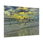 Convey of Birds are Flying Duing Sunset Poster - Image 8
