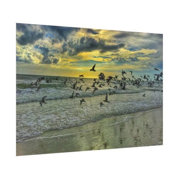 92409-82.jpg Convey of Birds are Flying Duing Sunset Poster
