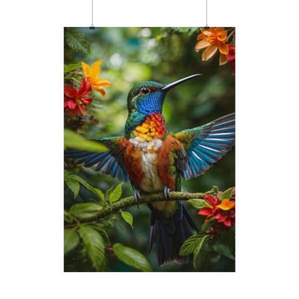 Colorful Hummingbird Poster