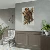 Masked Barn Owl by Elizabeth Gould Poster