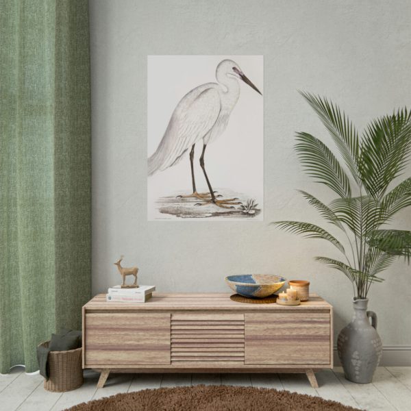 92410-53.jpg Indian White Heron by John Edward Gray Poster