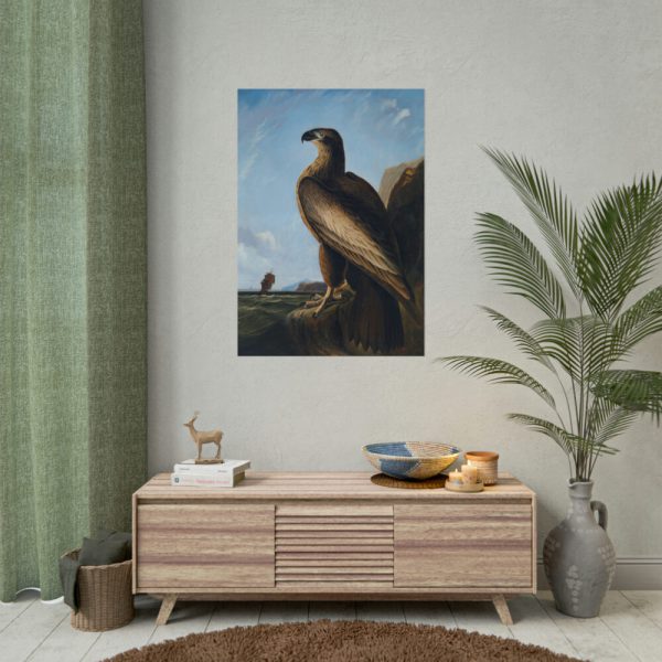 92410-63.jpg Washington Sea Eagle by John James Audubon Poster