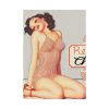 92410-85.jpg Retro Pin-up Lady Art Collag Poster