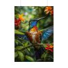 Colorful Hummingbird Poster