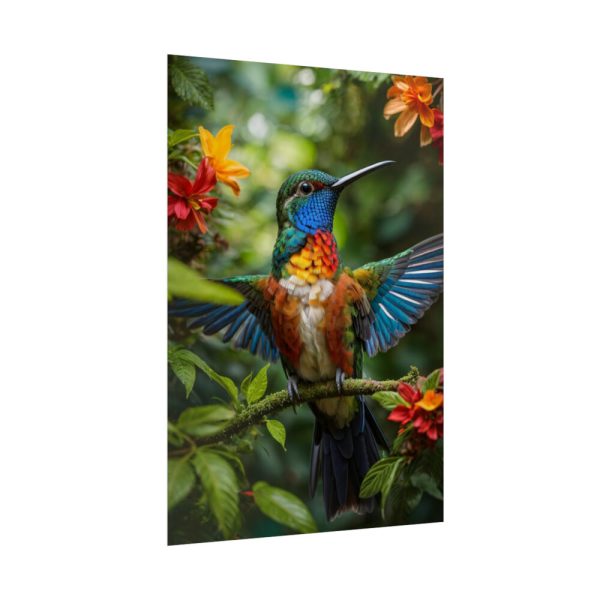 Colorful Hummingbird Poster