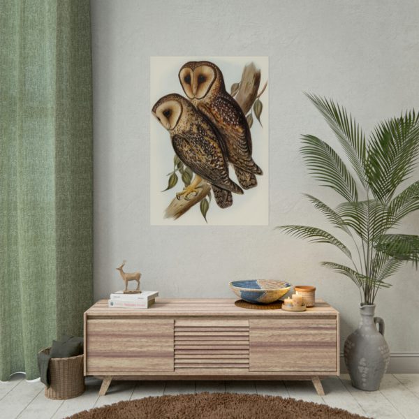 Masked Barn Owl by Elizabeth Gould Poster