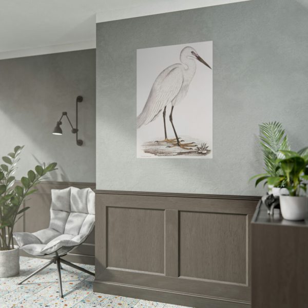 92411-54.jpg Indian White Heron by John Edward Gray Poster