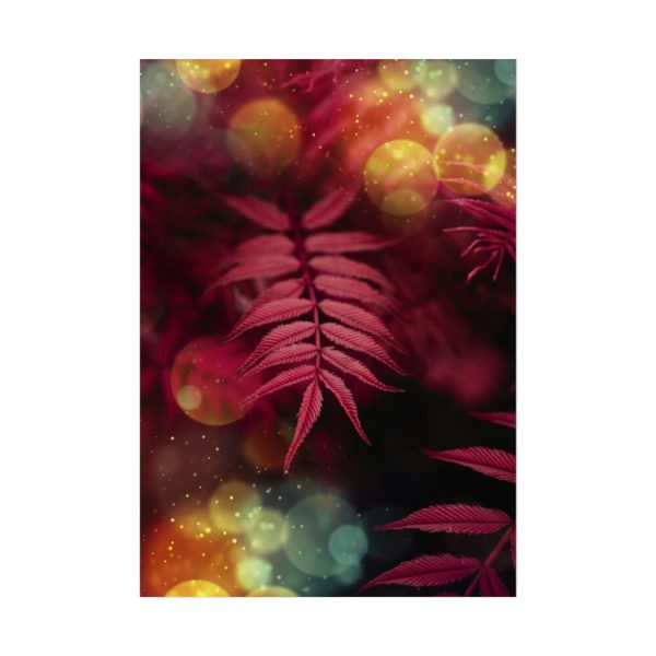 92411.jpg Fern, Plant, Bokeh, Glare, Tulips Poster