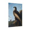 92411-62.jpg Washington Sea Eagle by John James Audubon Poster